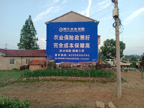 富宁墙体广告的优劣势你知道吗？